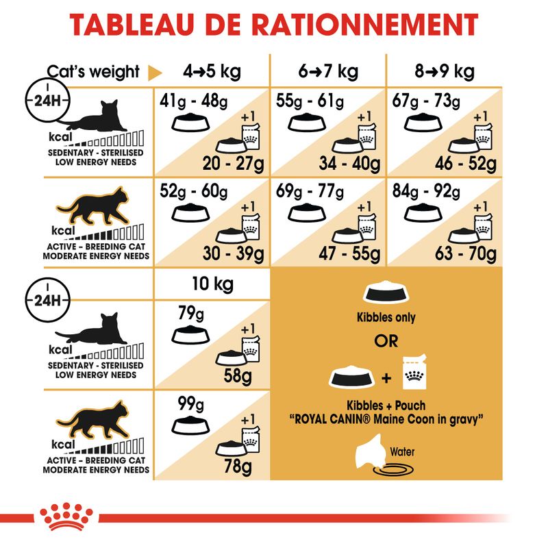 Royal Canin Maine Coon Adult à prix discount sur bitiba.fr