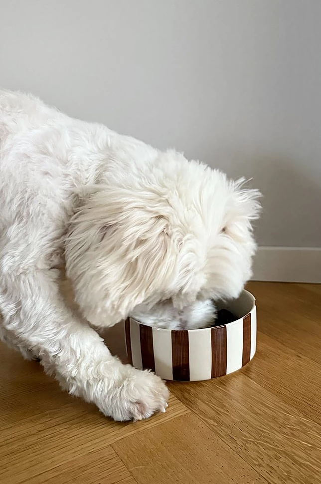 STELLA matskål for hund/katt