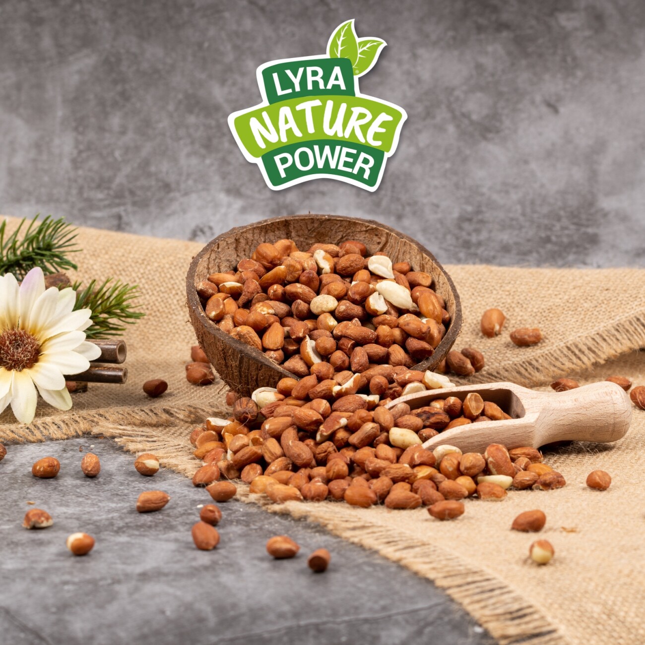 Lyra Pet Erdnusskerne mit Haut 10 kg