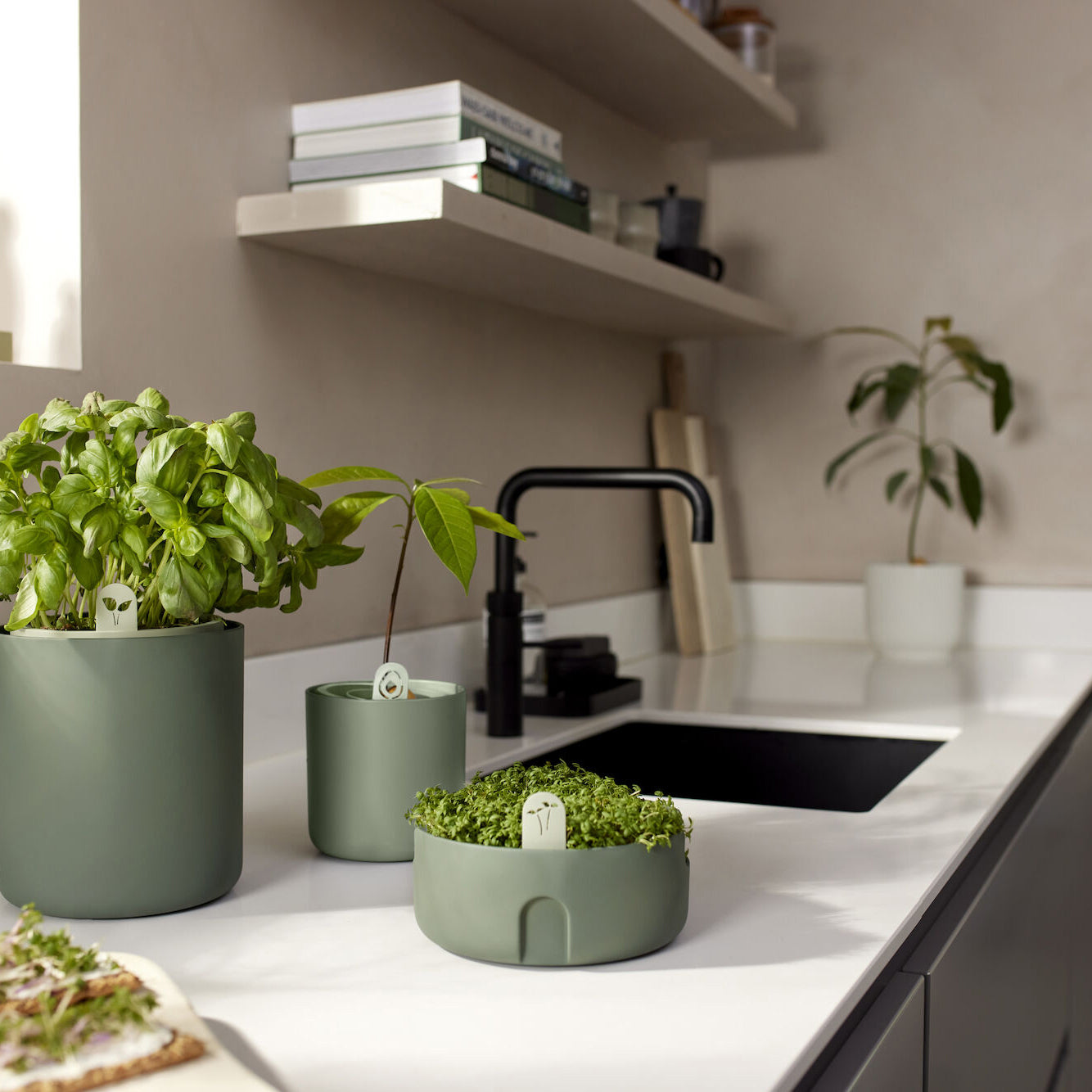 elho Magic Microgreens Kweekpot Ã 17 cm - Groen