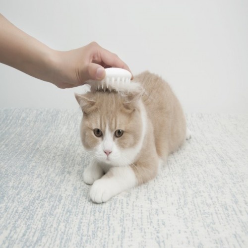 Escova de massagem Petkit Everclean para gatos