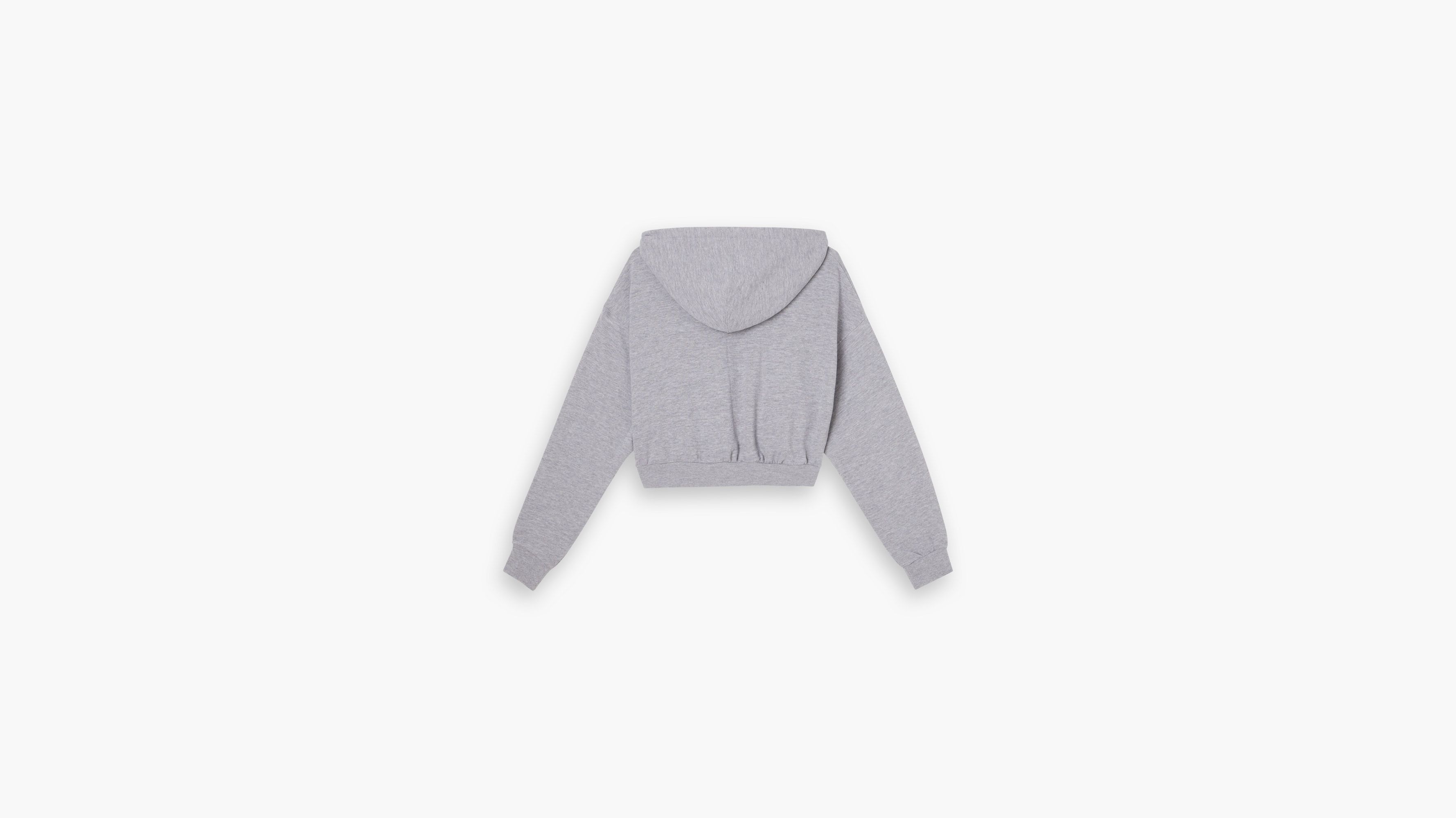 Sweat à capuche graphique Laundry Day - Starstruck Heather Grey Burnt Orange Lining - Gris