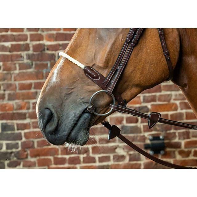 Neusriem D Collection by Dy'on Rope Bruin