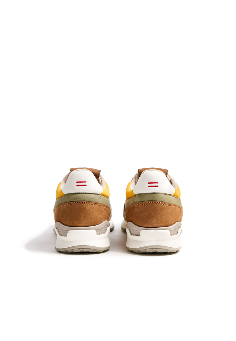 ELOY Multicolor