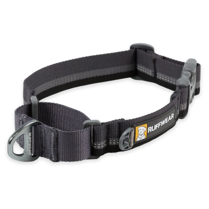 Web Reaction - Collier pour chien