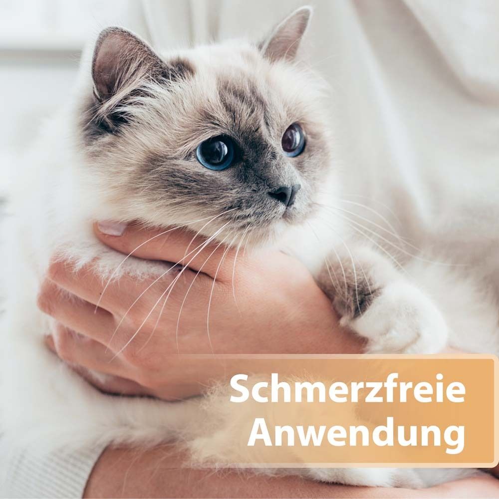 Felisept® Felisept Wundspray für Katzen
