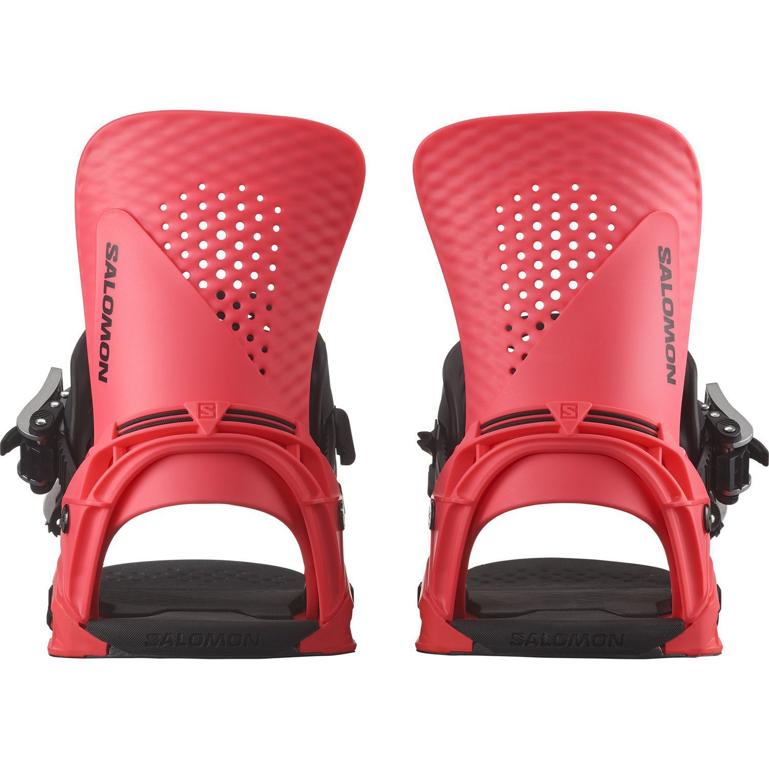 SalomonHOLOGRAM