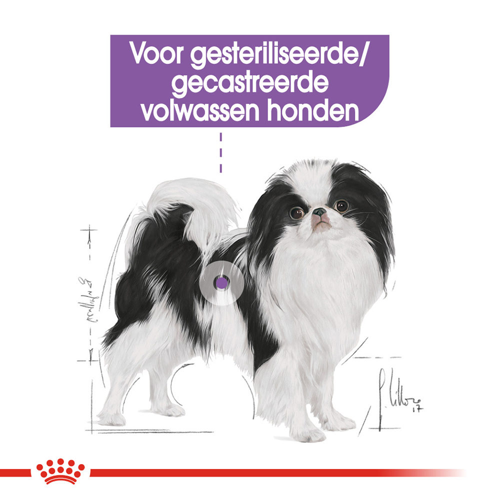 Royal Canin X-Small Sterilised - Hondenvoer