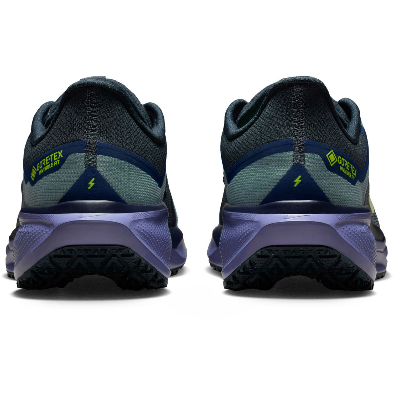 Nike Pegasus 41 GTX Heren