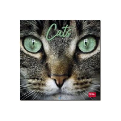 Legami - Calendrier mensuel 2024 - 18 x 18 cm - chats