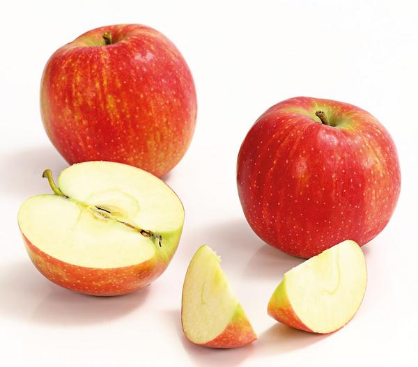 Winterapfel 'Jonagold'