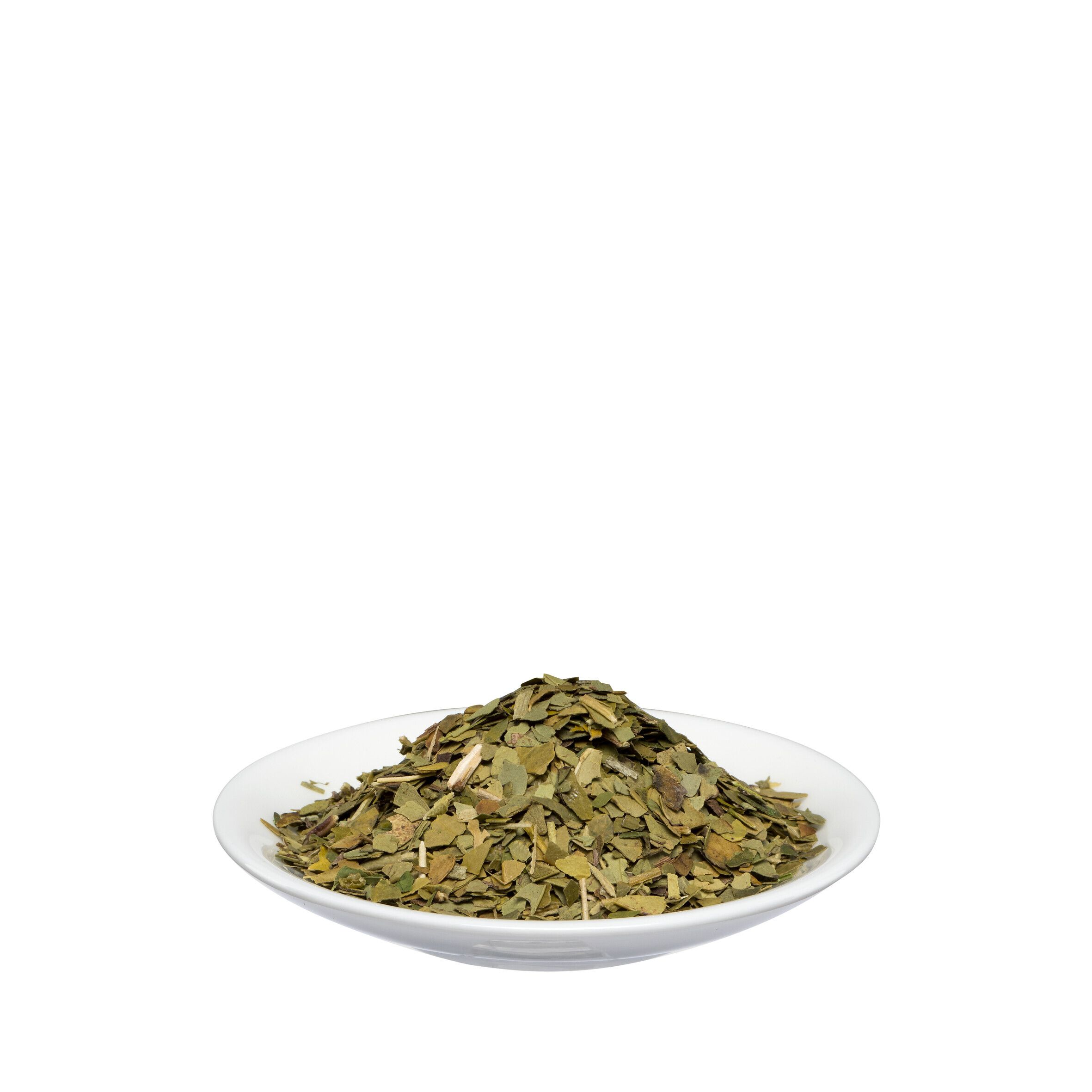 Salus® Mate grün