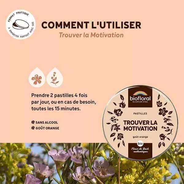 Pastilhas Biofloral Find Motivation Organic Emotion 50g
