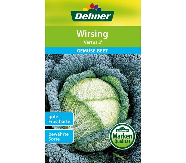 Dehner Samen Wirsing 'Vertus 2'
