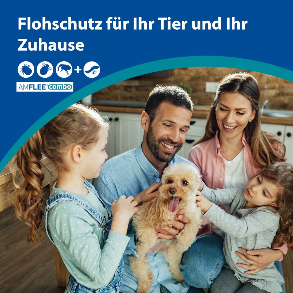 Amflee® combo 268 mg/241,2 mg für große Hunde