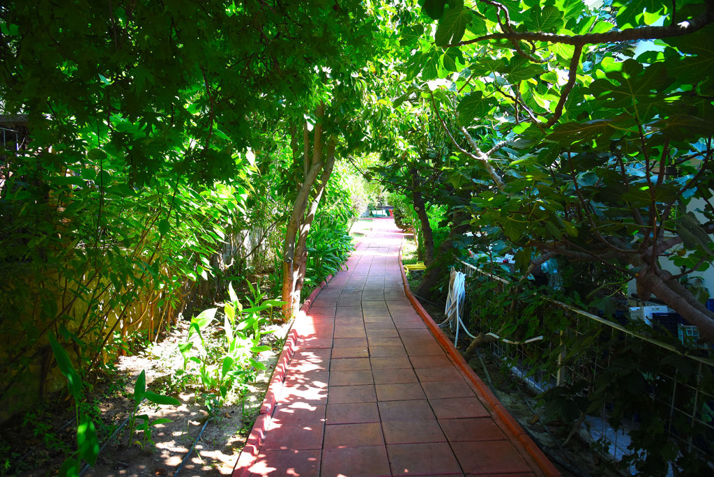 Turquoise Hotel All Inclusive - Hotel