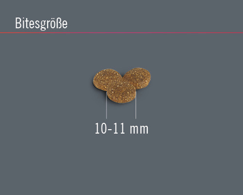 FINEVO Adult Cat Zalm droogvoer voor katten, graanvrij, 0,4 kg