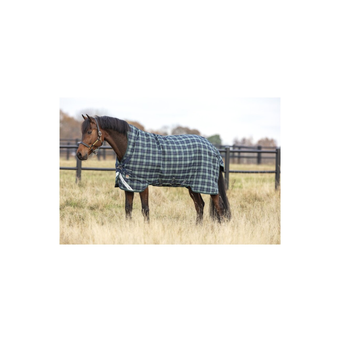 Rhino Winterdecke Rhino Wug Turnout Medium 250 g 1,55 m