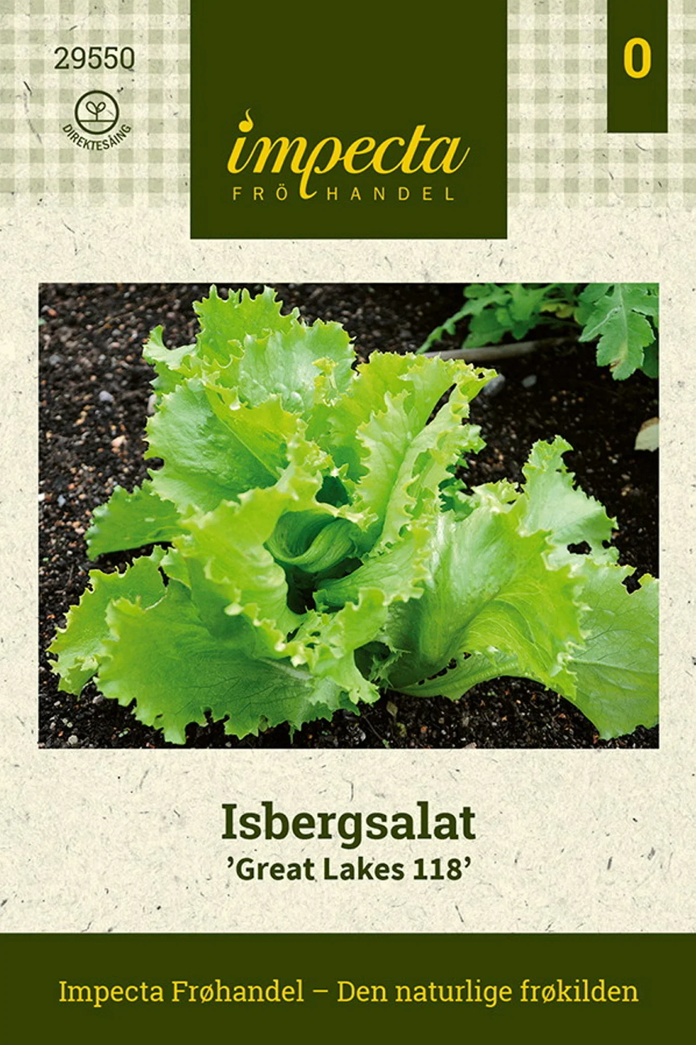 Lactuca sativa 'Great Lakes 118' Isbergsalat 'Great Lakes 118'