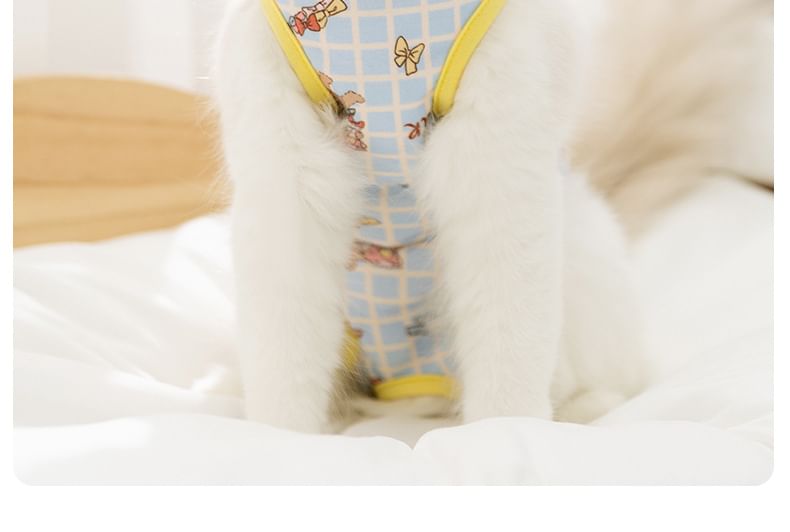 Cissilli - Bear Pet Recovery Top