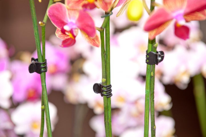Nature orchidee clips 10 stuks zwart