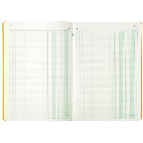 Registre standard journal 2 colonnes Exacompta 400E, 21 x 29,7 cm 80 pages