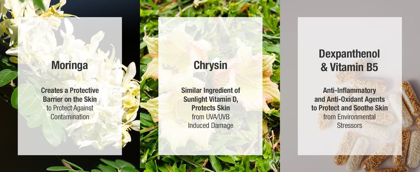 GANGNAM glow - Day Shield Perfect Sunscreen