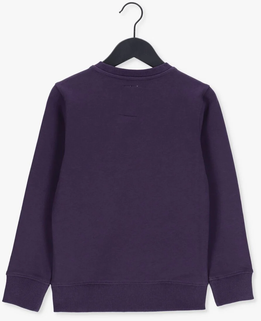 VINGINO paarse vingino sweater nester