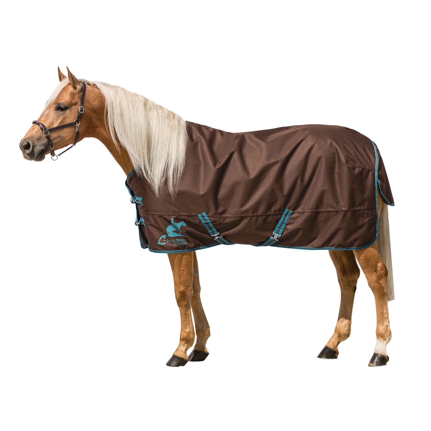 L-pro West Paddockdecke-/Outdoordecke 250 g - brown/petrol