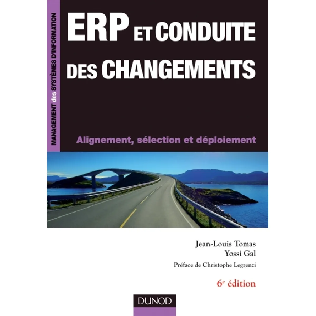 ERP et conduite des changements : alignement, sélection et déploiement · Occasion