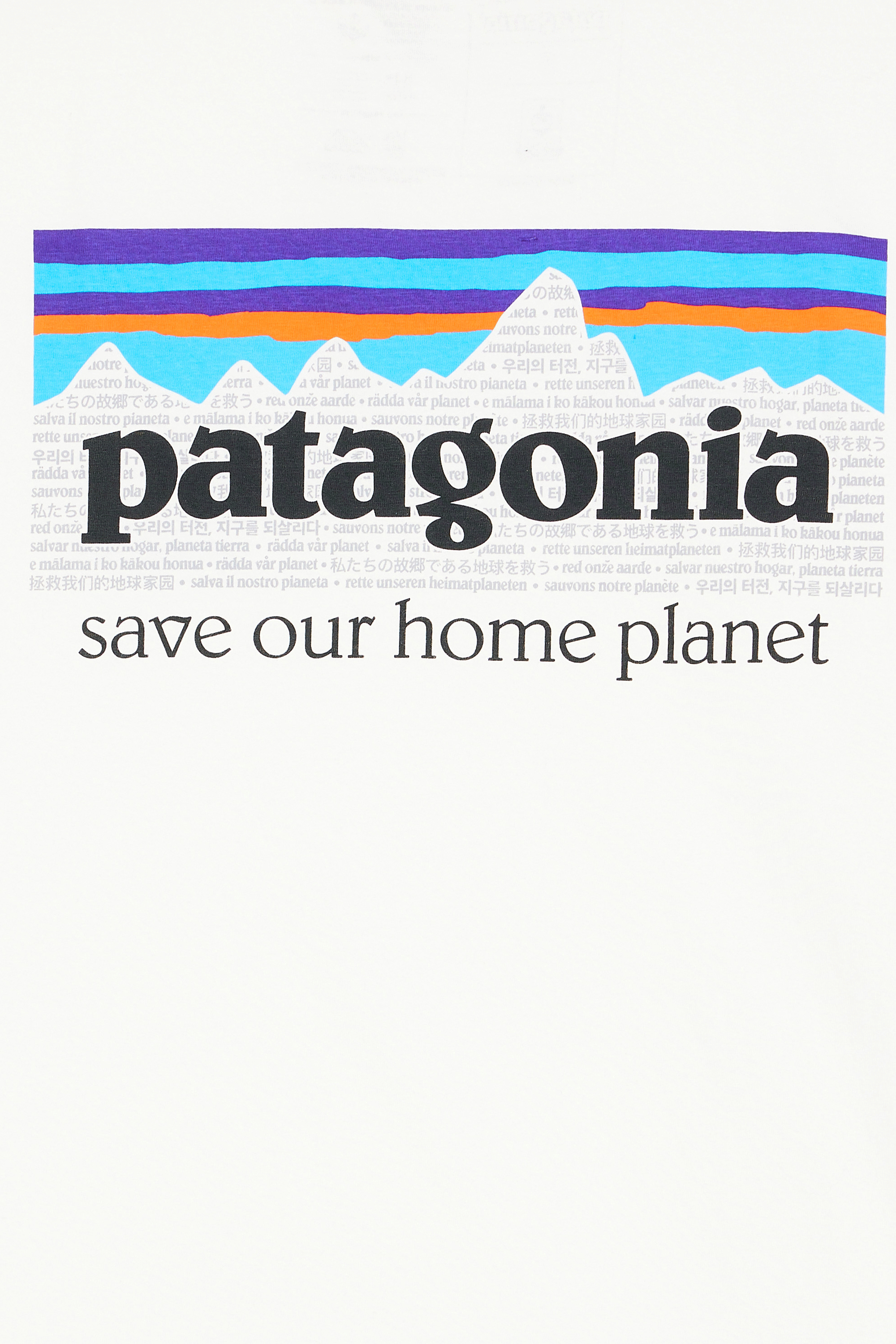PATAGONIA T-shirt P-6 Mission Organic Blanc