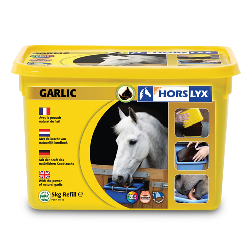 Horslyx Liksteen