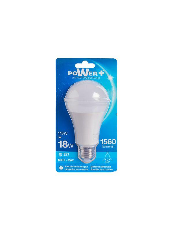 AMP.LED E27 18W 120W A65 LIC