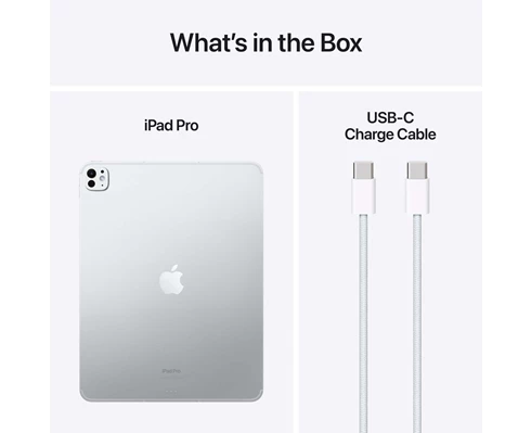 Apple 13-inch iPad Pro WiFi 256GB with Standard glass - Silver