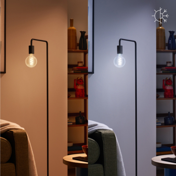 Philips Smart LED globe E27 6.3W filament helder