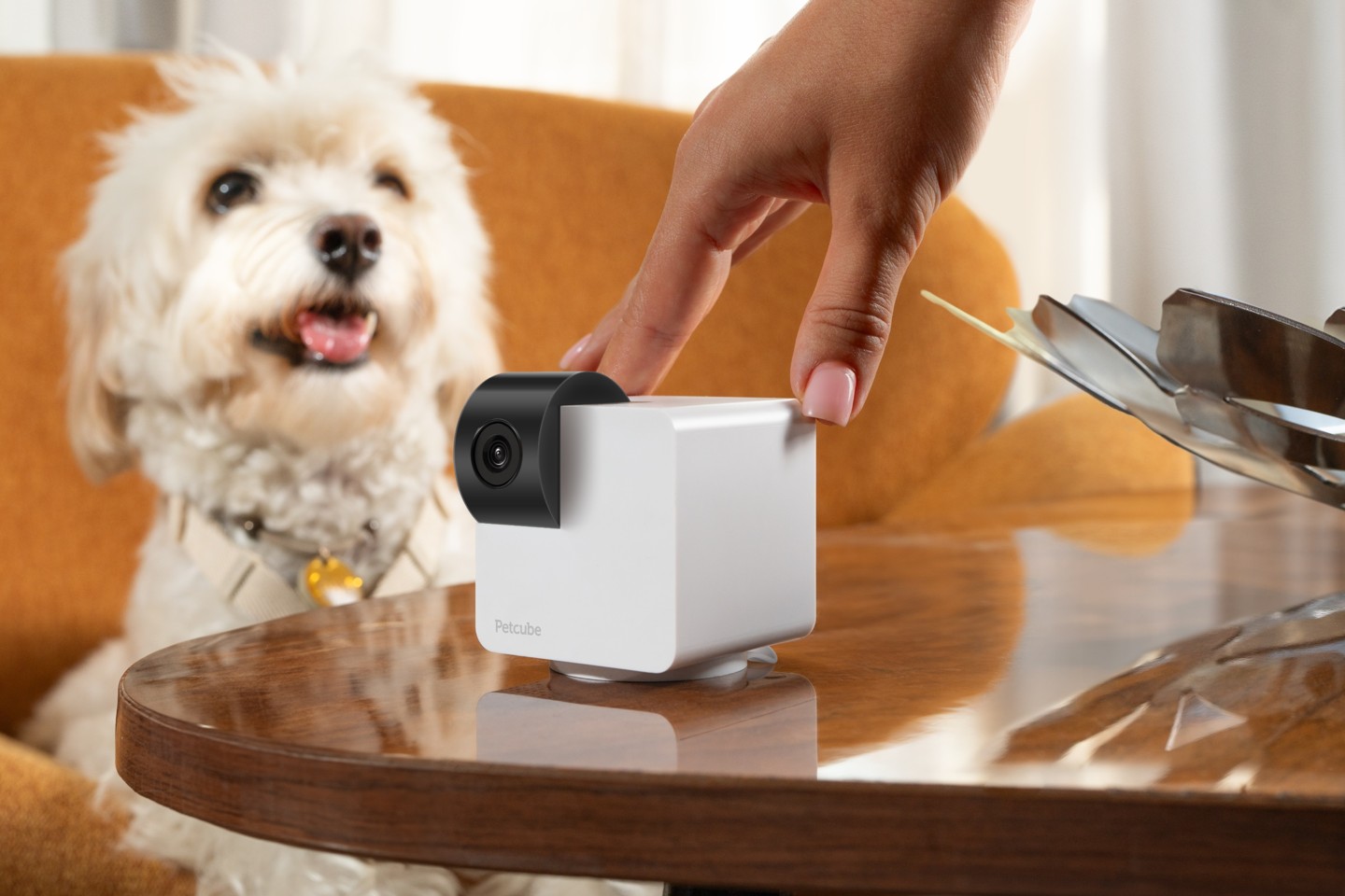 Petcube - Petcube Cam 360 med tilt og tovejs kommunikation