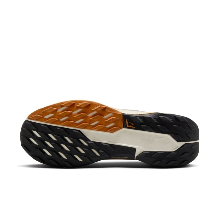 Nike Dame Trailsko Pegasus Trail 5 Gore-Tex Sort