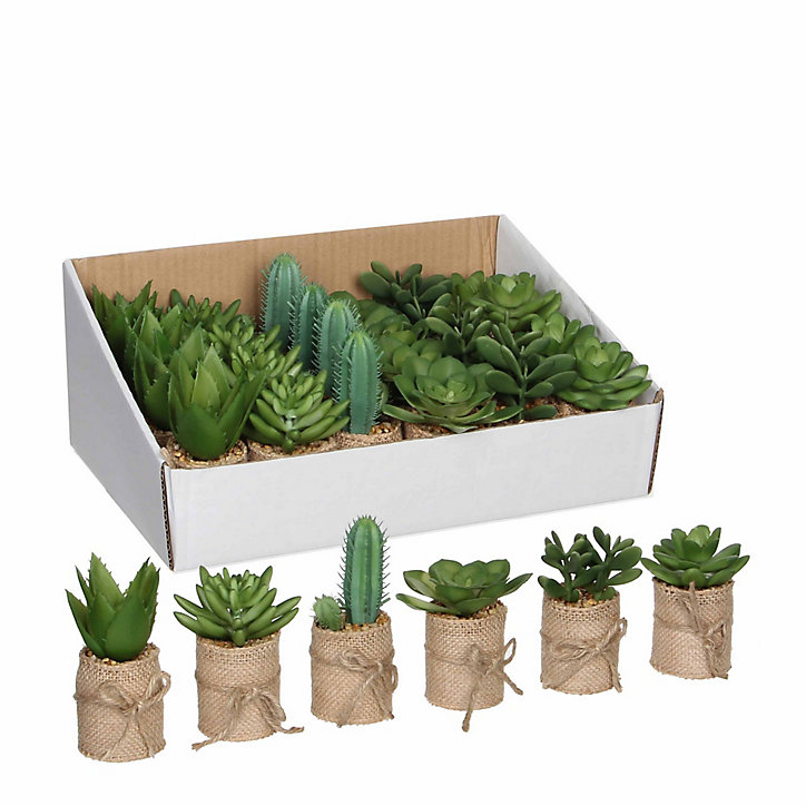 Succulente artificiel en pot vert 6 assorti ø5 x h.12 cm