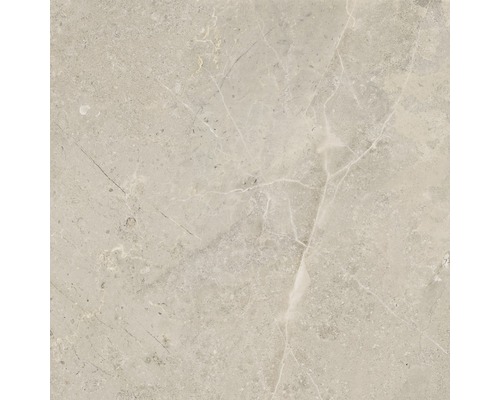 Porseleinen steengoed wand- en vloertegel Anden 60 x 60 x 0,9 cm Bone mat beige R9 A