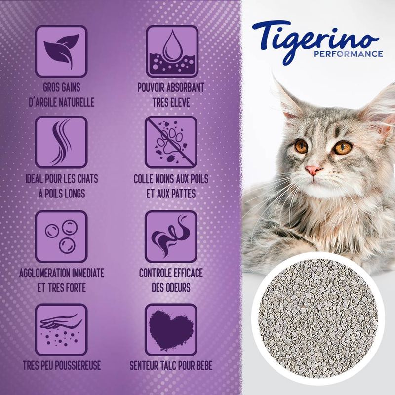 Litière Tigerino XL Grain / Performance senteur talc pour chat