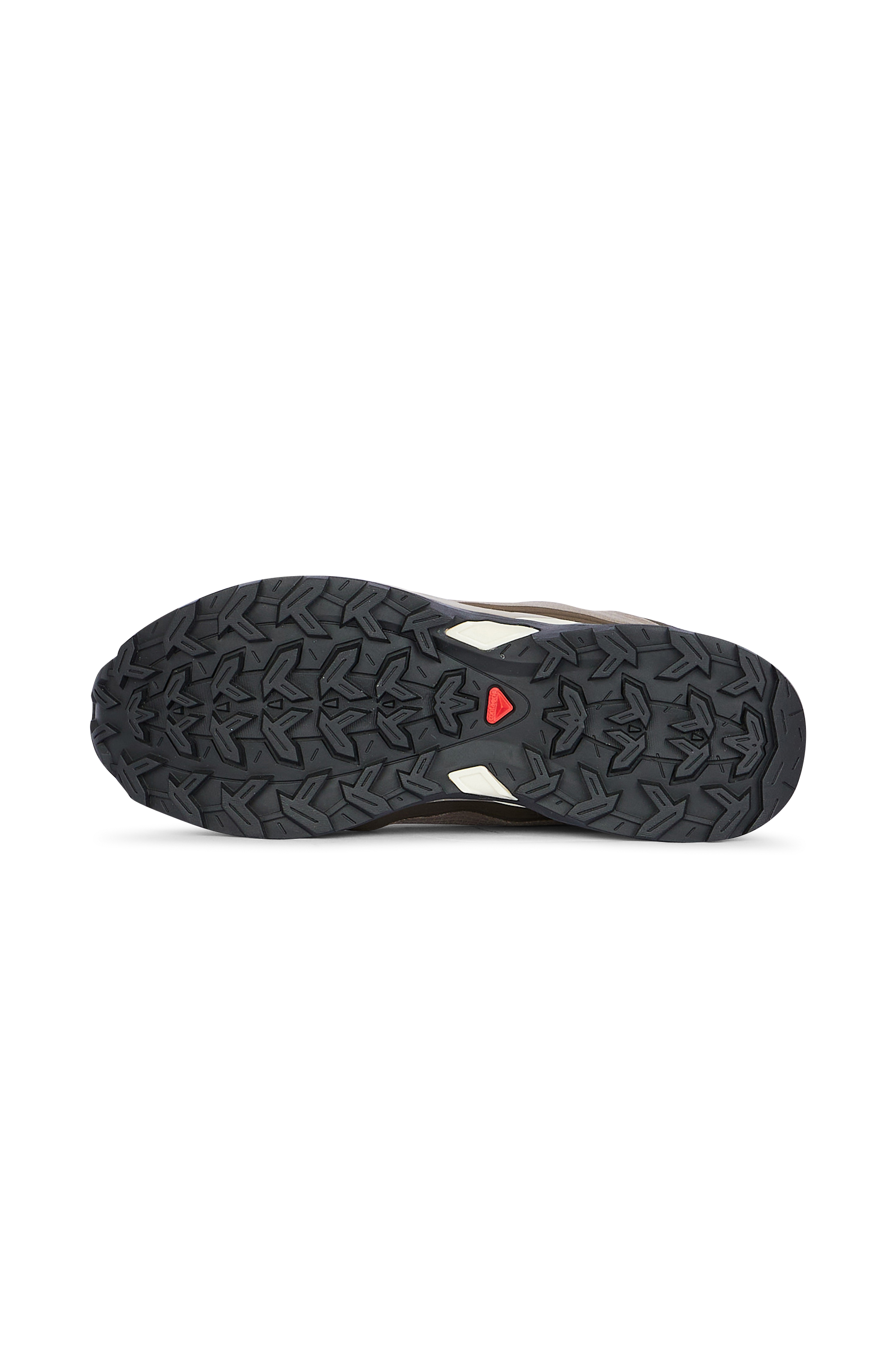 SALOMON Baskets Shoes  SHELTER CSWP Marron