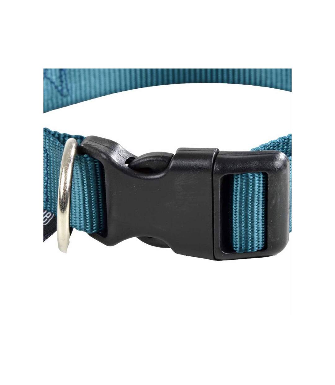 Paris Prix - Collier Réglable Pour Chien essentiel 35cm émeraude