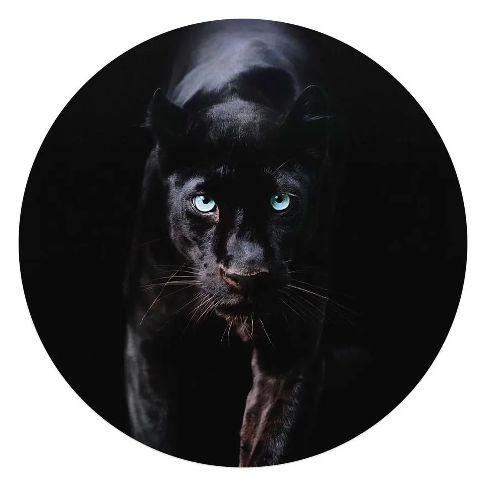 Plexiglasschilderij Zwarte Panter - Ø 70cm - Zwart