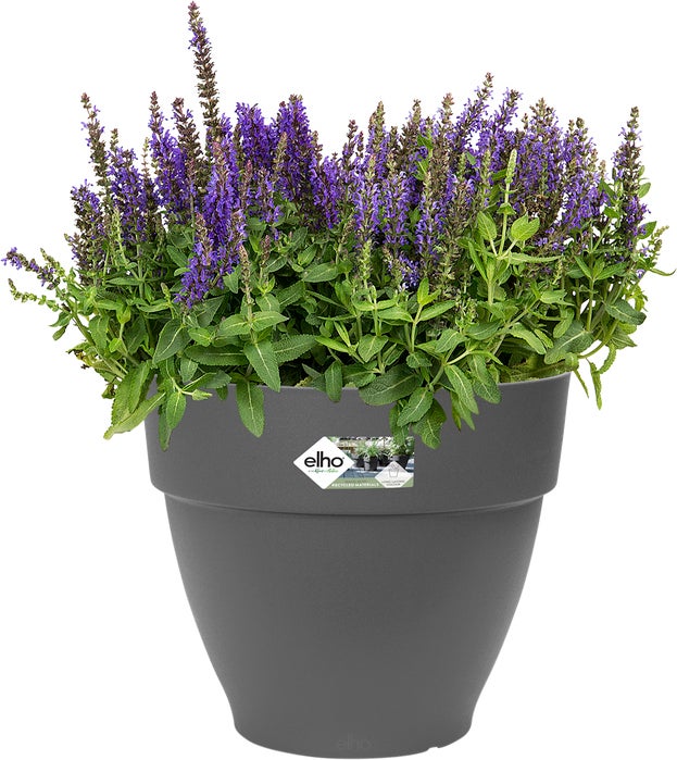 Elho bloempot Vibia Campana antraciet D 24,5 H 21 cm