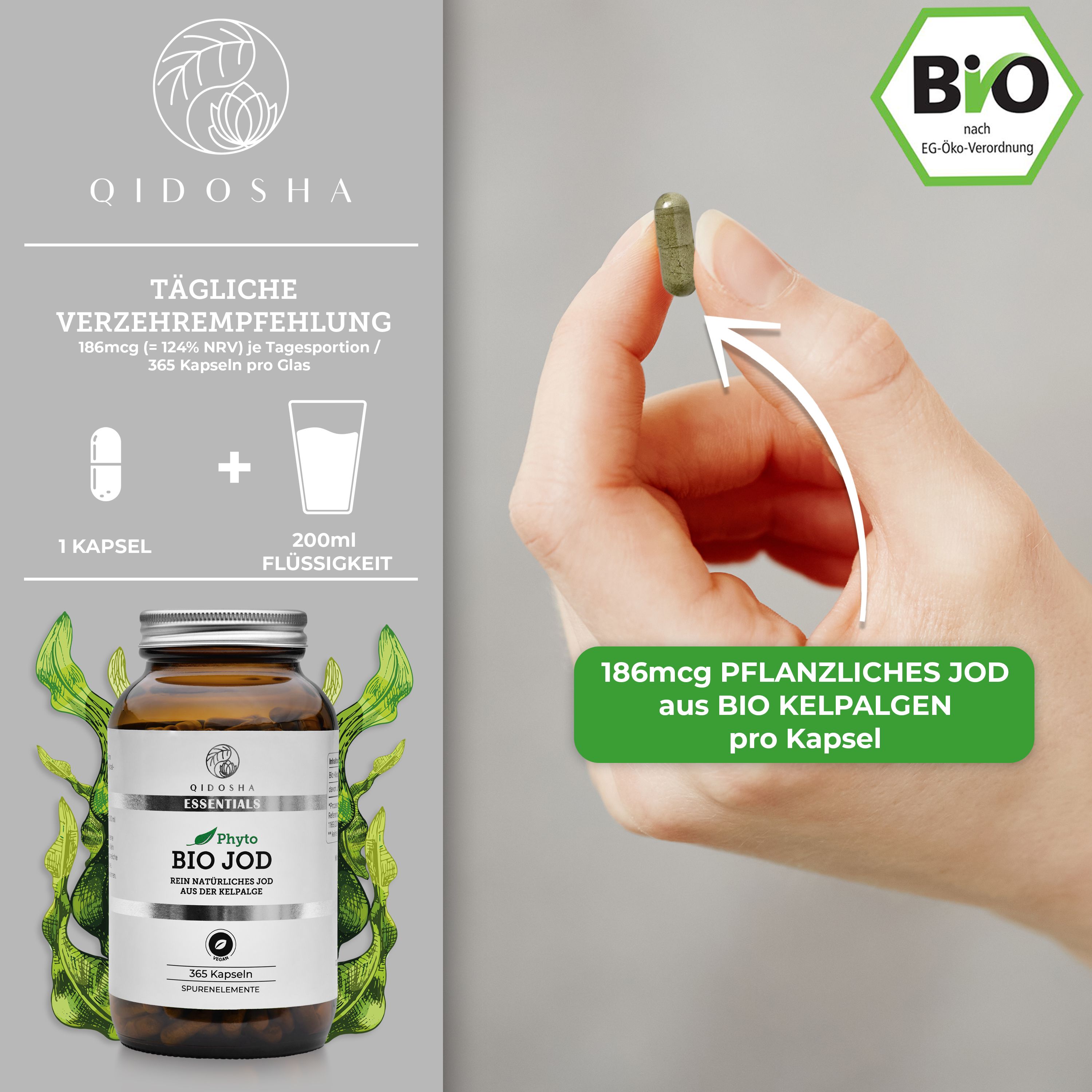 QIDOSHA Bio Jod aus der Kelpalge