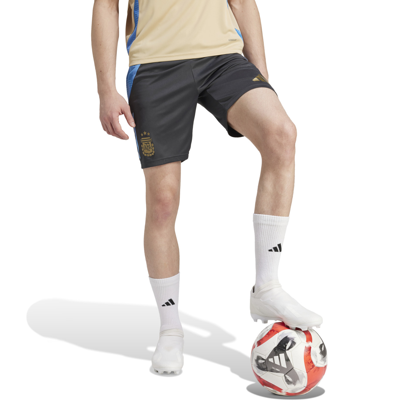 Adidas Argentinië Trainingsbroekje 2024-2026 Donkergrijs Lichtblauw Goud