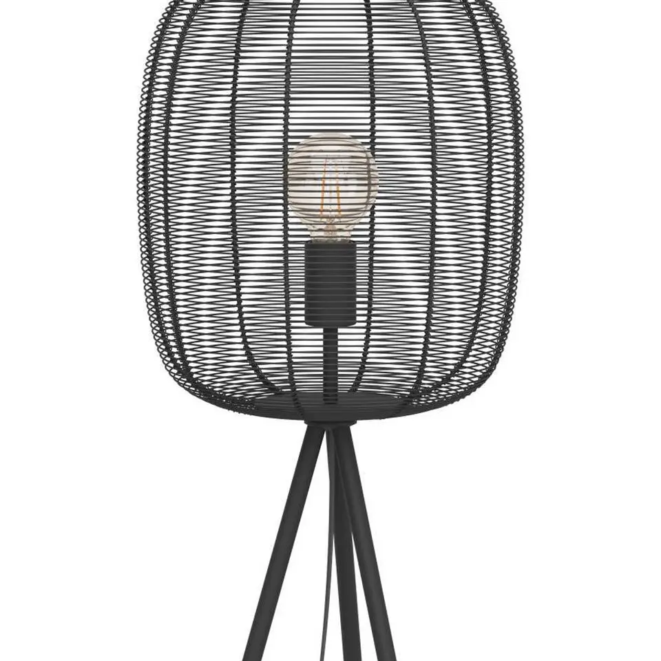 EGLO Derwen Vloerlamp - E27 - Metaal - Zwart