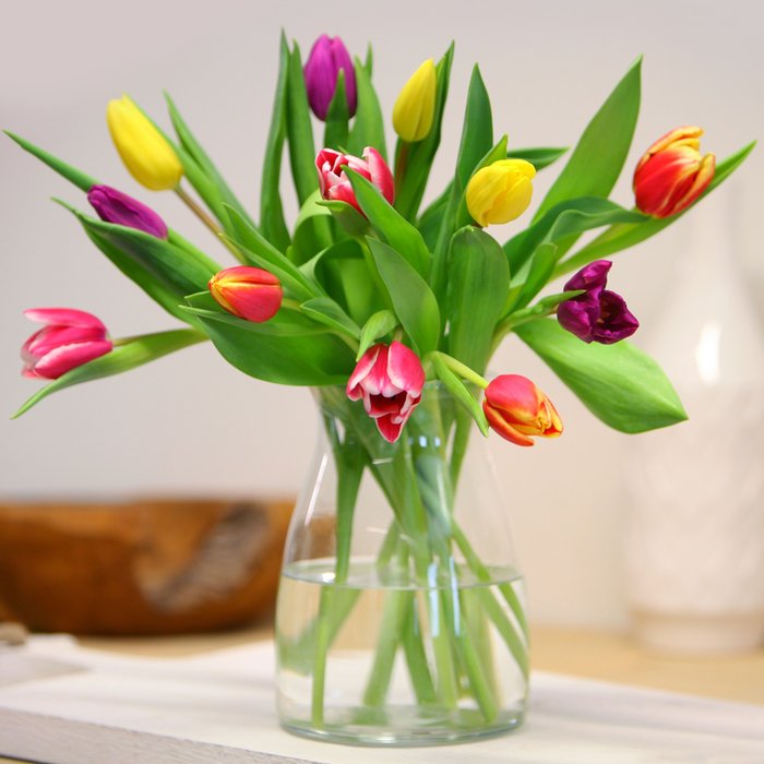 Brievenbusbloemen | Tulpen | Kleurenmix
