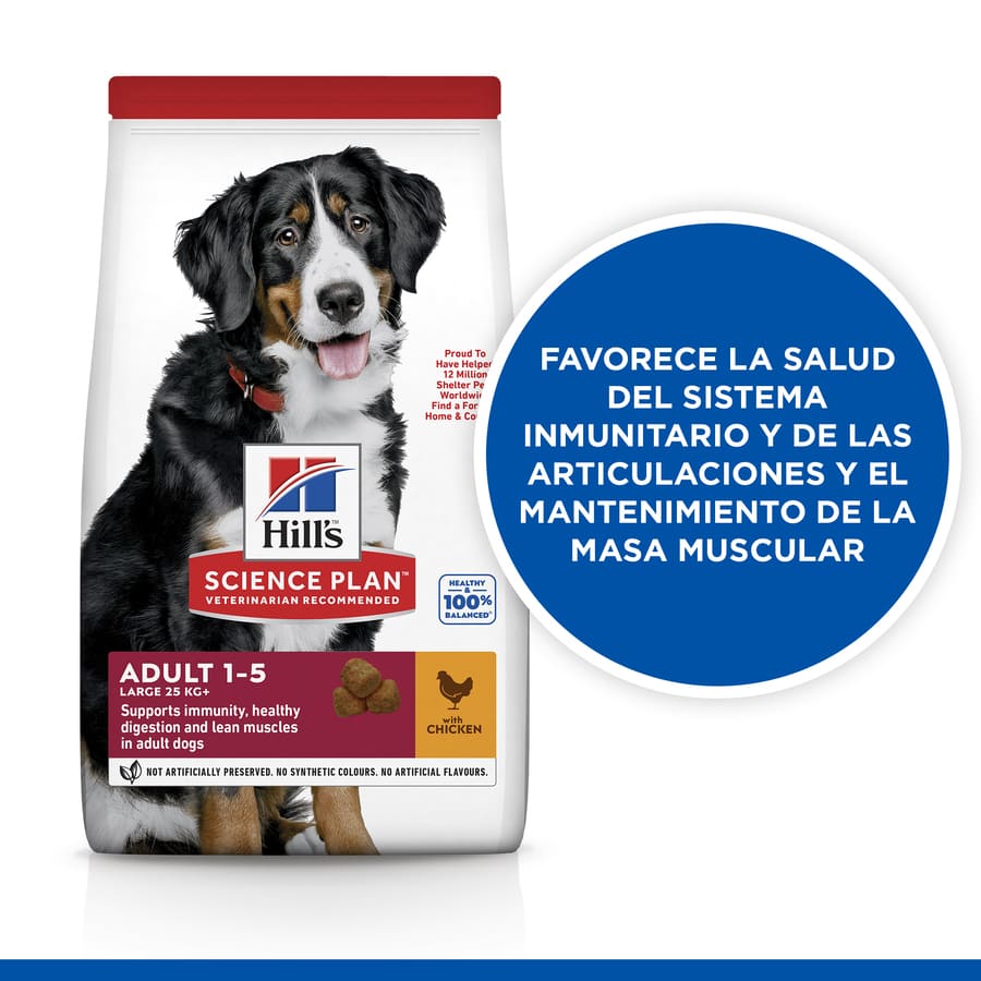 Ração Hill's Science Plan para cães adultos de porte grande com sabor de frango