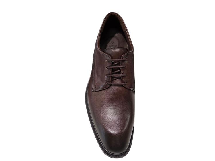 Lloyd 25-533-07 X-motion 110w t.d.moro